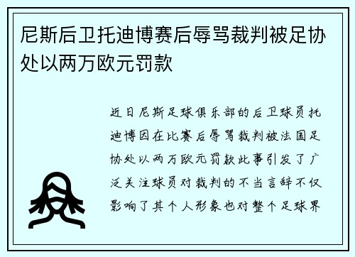 尼斯后卫托迪博赛后辱骂裁判被足协处以两万欧元罚款